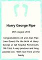 Harry George Pipe